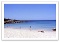 Beach in Tasmania