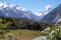 Mt. Cook