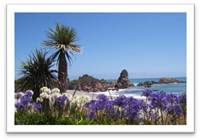West coast South Island