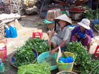 Market