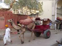 Transport in Mandawa