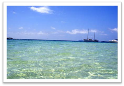 Castaway Island