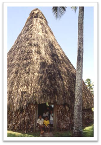 Fijian hut