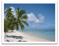 Beach in Aitutak with coconut palm