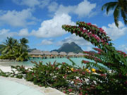 Relaxing at the Hotel - Bora Bora