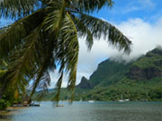 Cooks Bay - Moorea