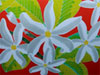 Tiare flower - Moorea