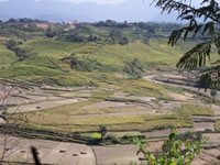 Kathmandu valley